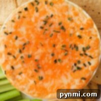 A cheesy buffalo chicken dip, made in an Instant Pot and topped with chives, is surrounded by tortilla chips, celery sticks, and round crackers.