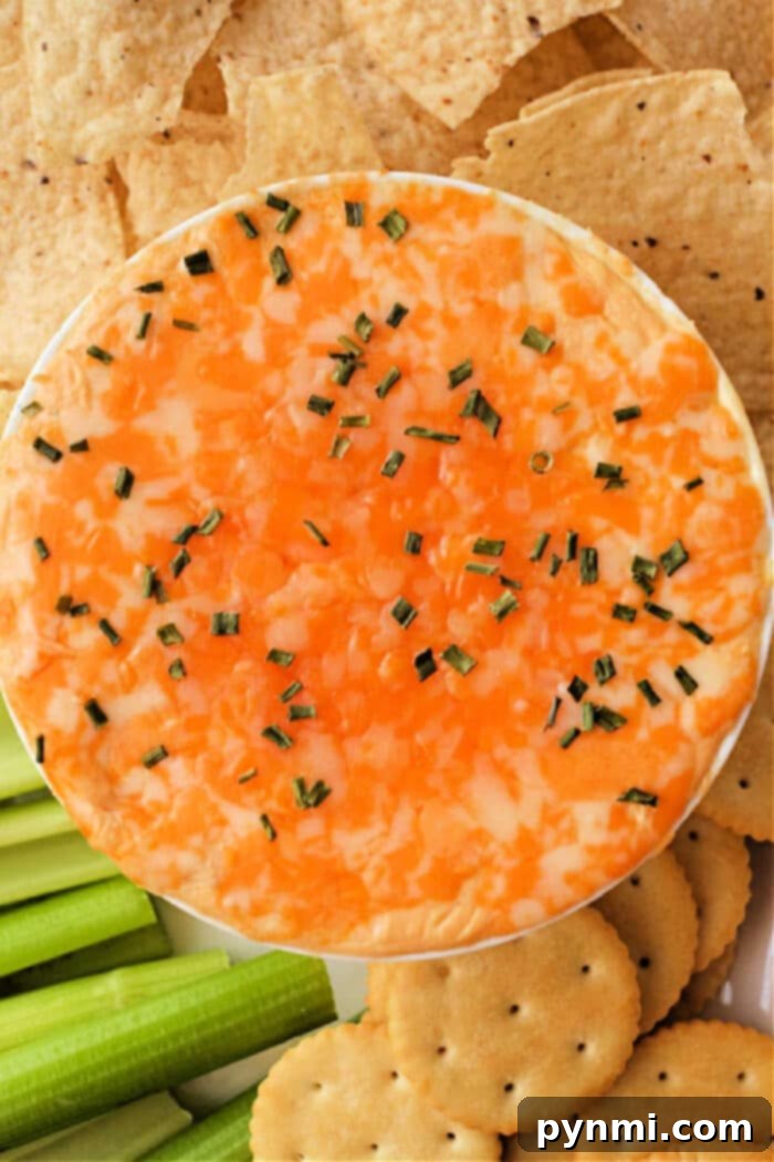 A large serving of hot, creamy Ninja Foodi Buffalo Chicken Dip, garnished with green onions and ready for a party. Tortilla chips and celery sticks are arranged around the dip for serving.