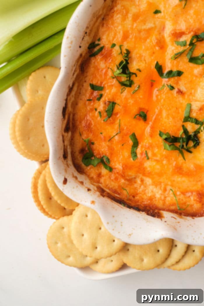 Close-up of bubbling Dairy Free Buffalo Chicken Dip fresh from the oven, garnished with green onions.