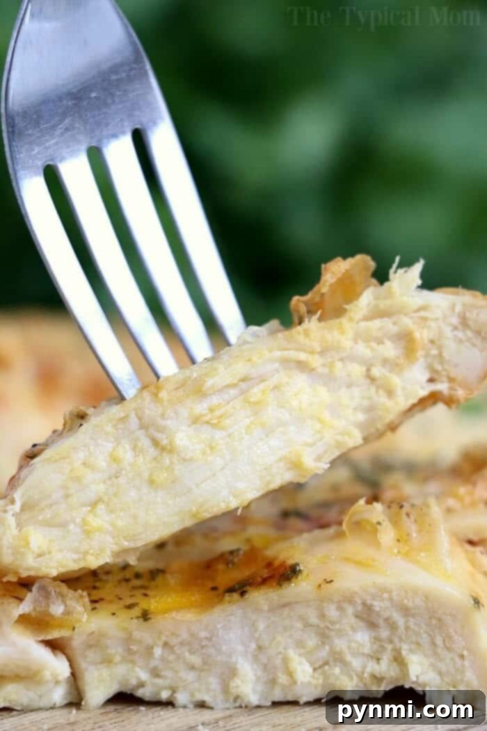 Mastering Tender Frozen Meat 12 A fork holds a cooked chicken breast slice, showcasing its tender and juicy interior achieved by cooking a frozen chicken breast in an air fryer. The meat is seasoned with herbs and spices, while the background blurs into soothing shades of green.