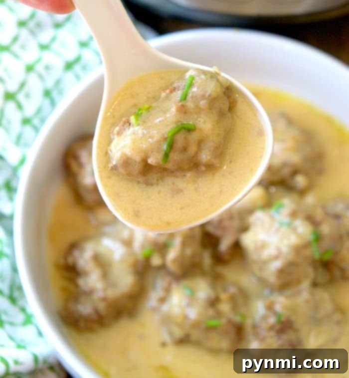 Velvety Sour Cream Sauce for Swedish Meatballs 6 Swedish Meatball Sauce with Sour Cream and Worcestershire