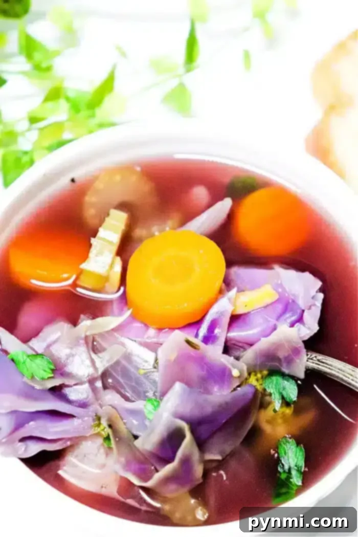 Vibrant Slow Cooker Purple Cabbage Soup 2 A vibrant bowl of healthy Crockpot Cabbage Soup, featuring purple cabbage, sliced carrots, celery, and fresh herbs in a light, clear broth. A spoon rests in the bowl, and bright green leafy garnishes are visible in the background, suggesting a fresh and appetizing meal.