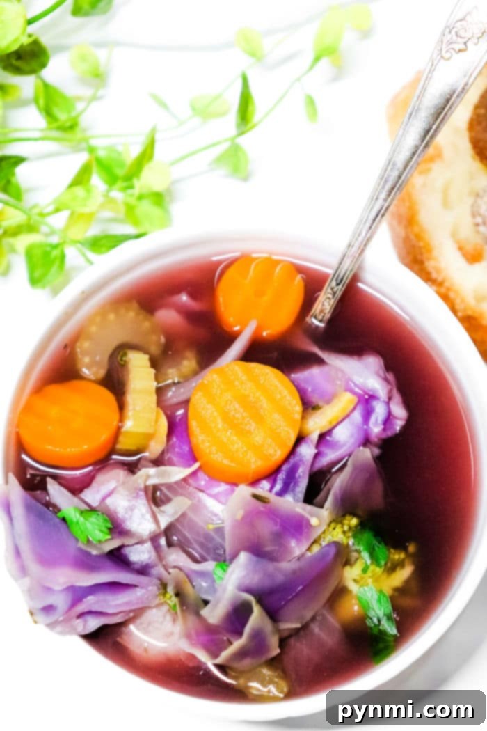 Vibrant Slow Cooker Purple Cabbage Soup 8 A bowl of fresh, vibrant cabbage soup, showcasing the healthy ingredients and appealing presentation, ready for a nutritious meal.