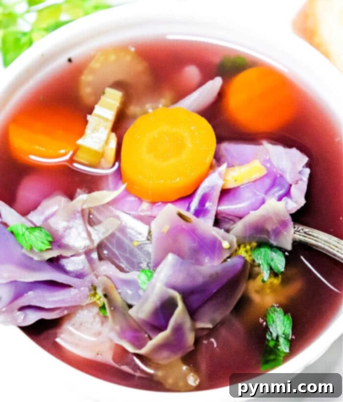 Vibrant Slow Cooker Purple Cabbage Soup 9 A generous serving of red cabbage soup, garnished with fresh dill or parsley, inviting and wholesome.