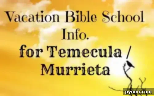Temecula Summer Bible Adventure 2 Text reading "Vacation Bible School in Temecula" is overlaid on an image of a yellow sky with clouds, featuring a silhouette of a bird perched on a branch. This image symbolizes the joyful and uplifting spirit of VBS camps in Temecula Valley.