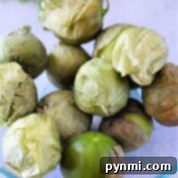 Tomatillos in husks rest inside a glass bowl, with leafy greens subtly framing them in the background, inviting you to explore how to cook tomatillos