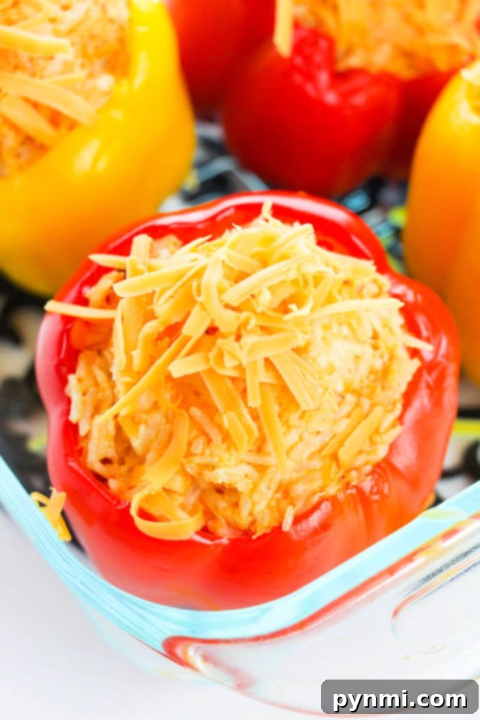Savory Chicken & Bell Pepper Delight 5 Stuffed Bell Peppers