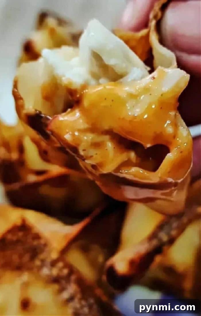 Crispy Air Fryer Crab Rangoon with homemade dipping sauce, ready to be served from a Ninja Foodi.