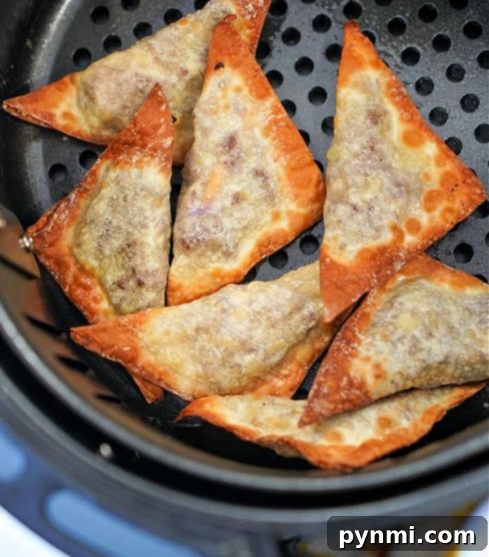 Air fryer wontons filled with a savory meat and cabbage mixture, a delicious alternative to crab rangoon.