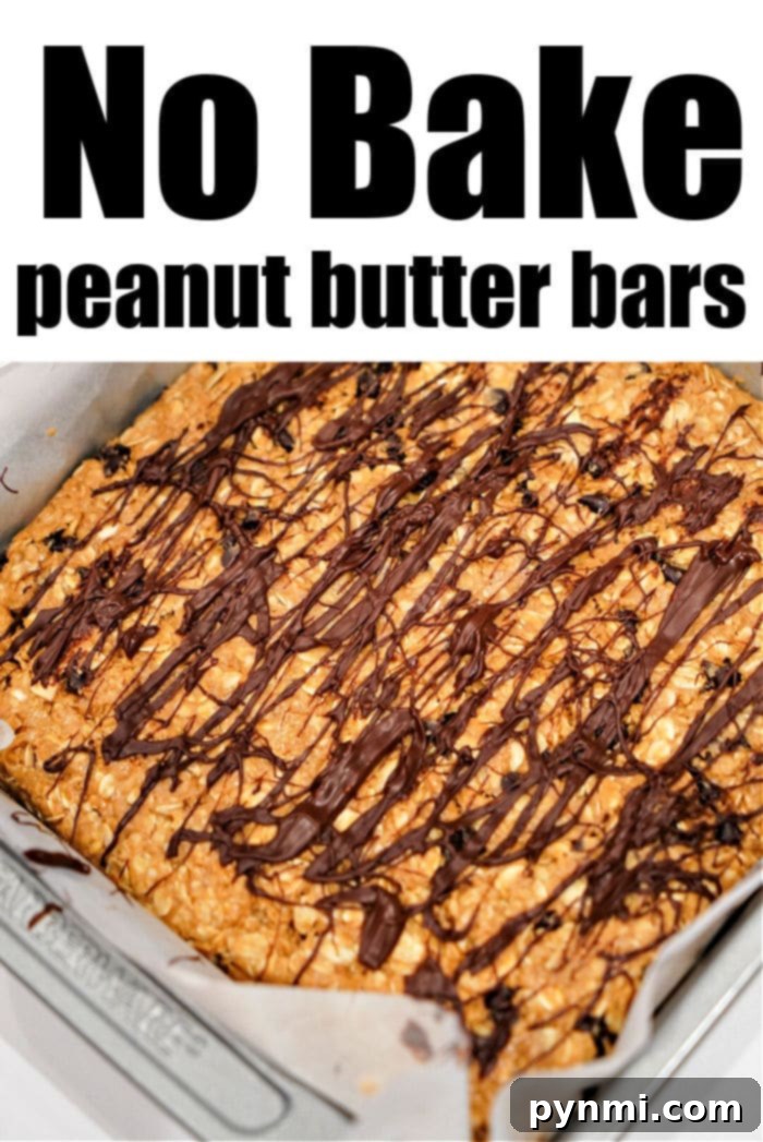 Viral TikTok Oatmeal Bars 6 A batch of no-bake chocolate peanut butter bars stored in a freezer bag