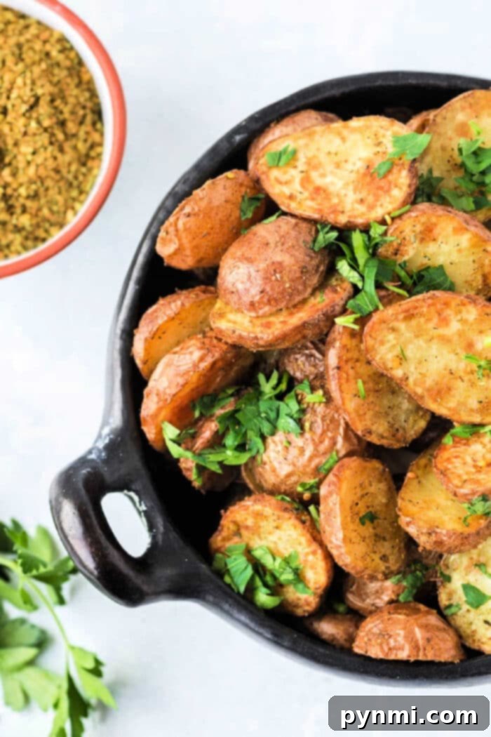 Crispy Air Fryer Potatoes 2 Baby Air Fryer Fried Potatoes