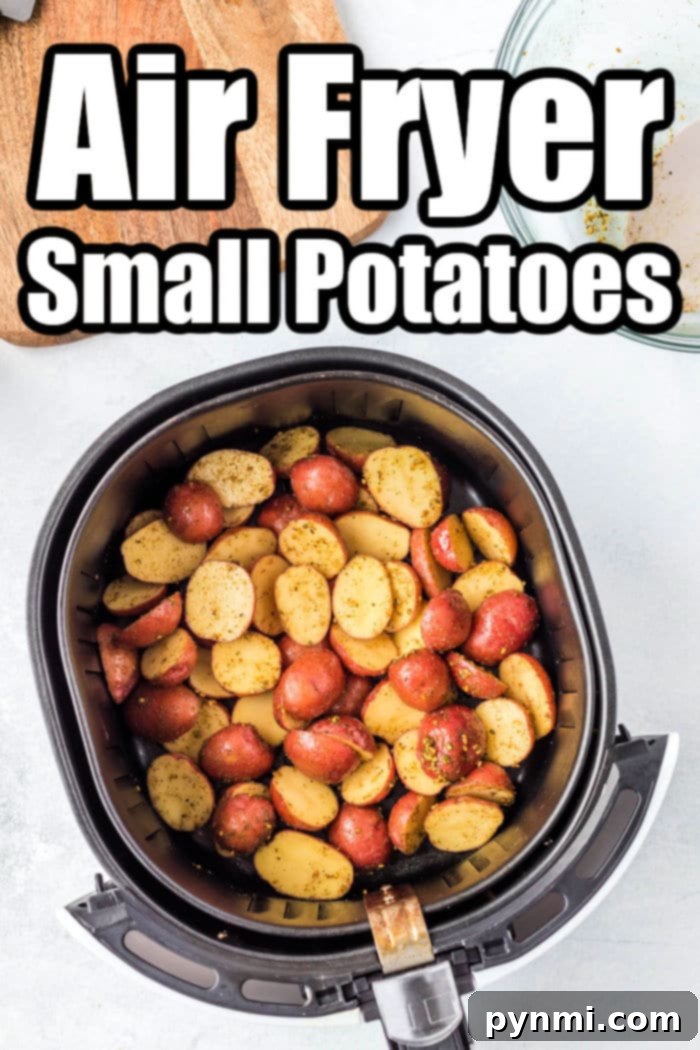 Crispy Air Fryer Potatoes 6 Baby Potatoes Air Fryer