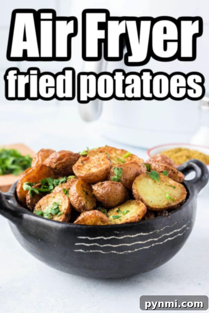 Crispy Air Fryer Potatoes 9 Air Fryer Fried Potatoes