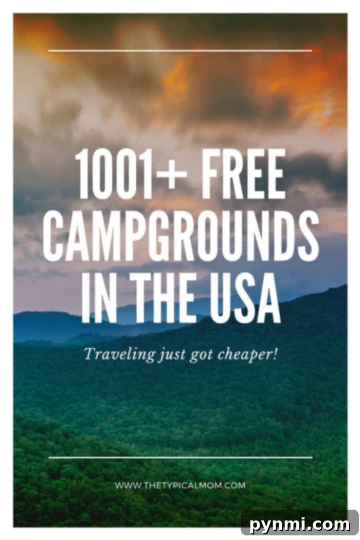 Where to camp for free! Scenic campsite in nature, illustrating free camping options for families seeking summer adventures