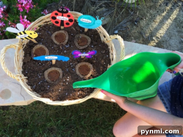 Summer Playbook for Happy Kids 3 Hand-painted garden signs made by kids, showcasing creative summer activities