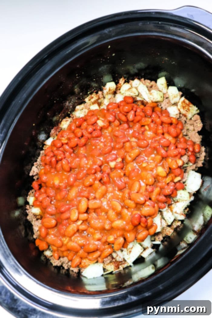 venison chili