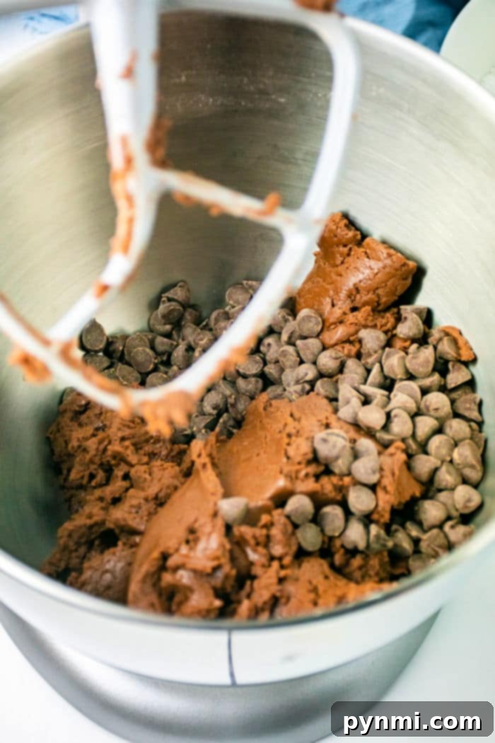 Fudgy Crinkle Delights 4 A mixing bowl with chocolate chip cookie dough and a paddle attachment. The dough is thick, reminiscent of brownie mix, with visible chocolate chips scattered throughout. The mixer waits eagerly to blend the ingredients into crinkle cookies perfection.