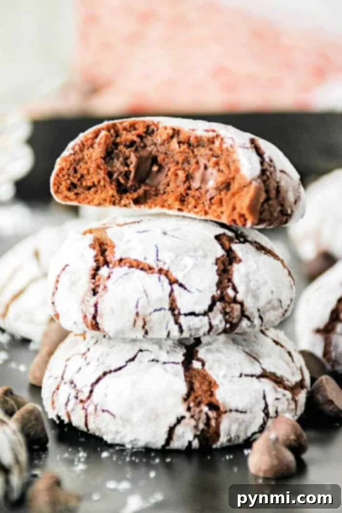 Fudgy Crinkle Delights 6 Brownie mix Crinkle Cookies