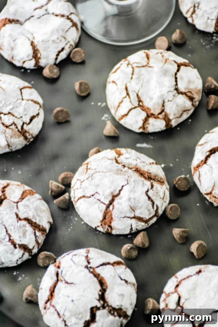 Fudgy Crinkle Delights 7 Crinkle cookies, crafted with brownie mix and dusted with powdered sugar, are arranged on a dark surface. Chocolate chips are scattered among the cookies, enhancing their richly cracked appearance.