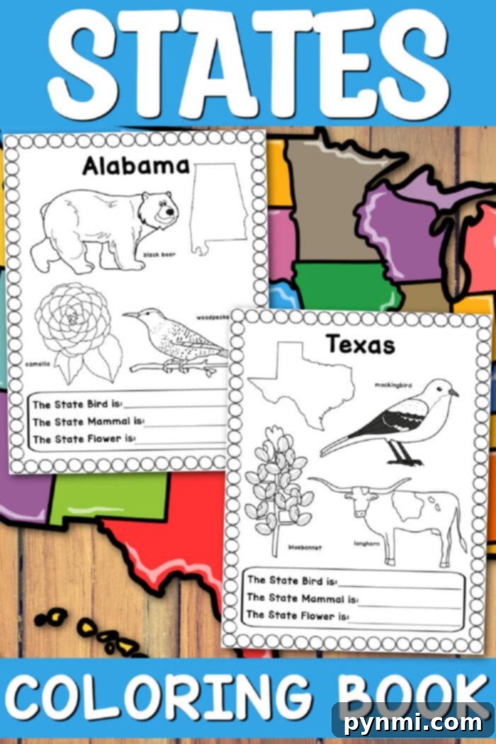 Free Printable US States Worksheets 2 US States Worksheets - Educational Printables for Kids
