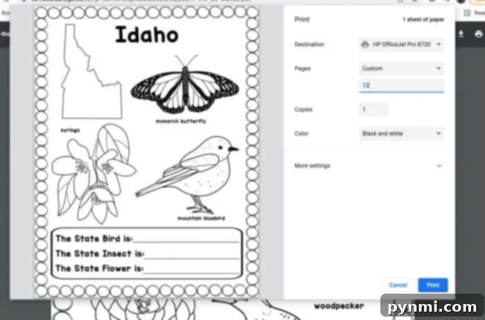 Free Printable US States Worksheets 5 USA Coloring Book - All 50 States