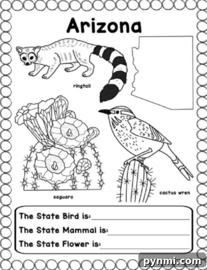 Free Printable US States Worksheets 6 States Coloring Book for Educational Fun