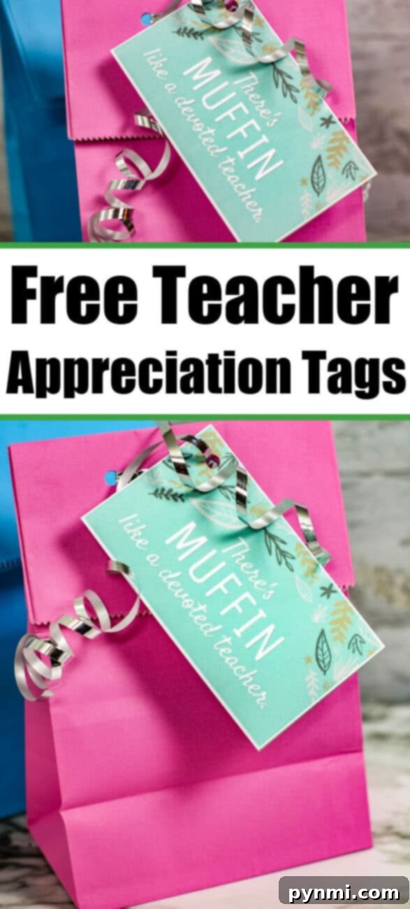 Free Printable Thank You Tags for Teachers 6 free teacher appreciation tags