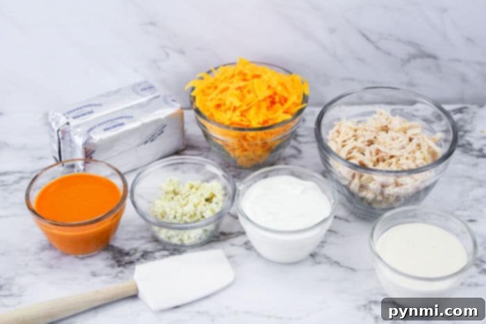 Publix Buffalo Chicken Dip, hot and bubbly in a slow cooker, adorned with fresh herbs and ready to be served.
