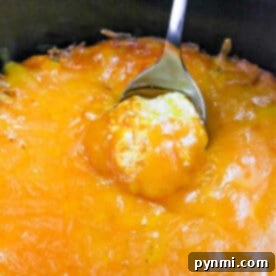 A spoon scoops cheesy, golden-brown Publix Buffalo Chicken Dip from a baking dish, highlighting its rich texture.