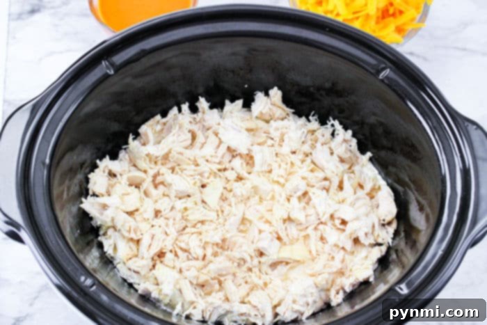 A close-up shot of a rich, creamy shredded chicken dip, adorned with melted cheese and ready to be enjoyed.