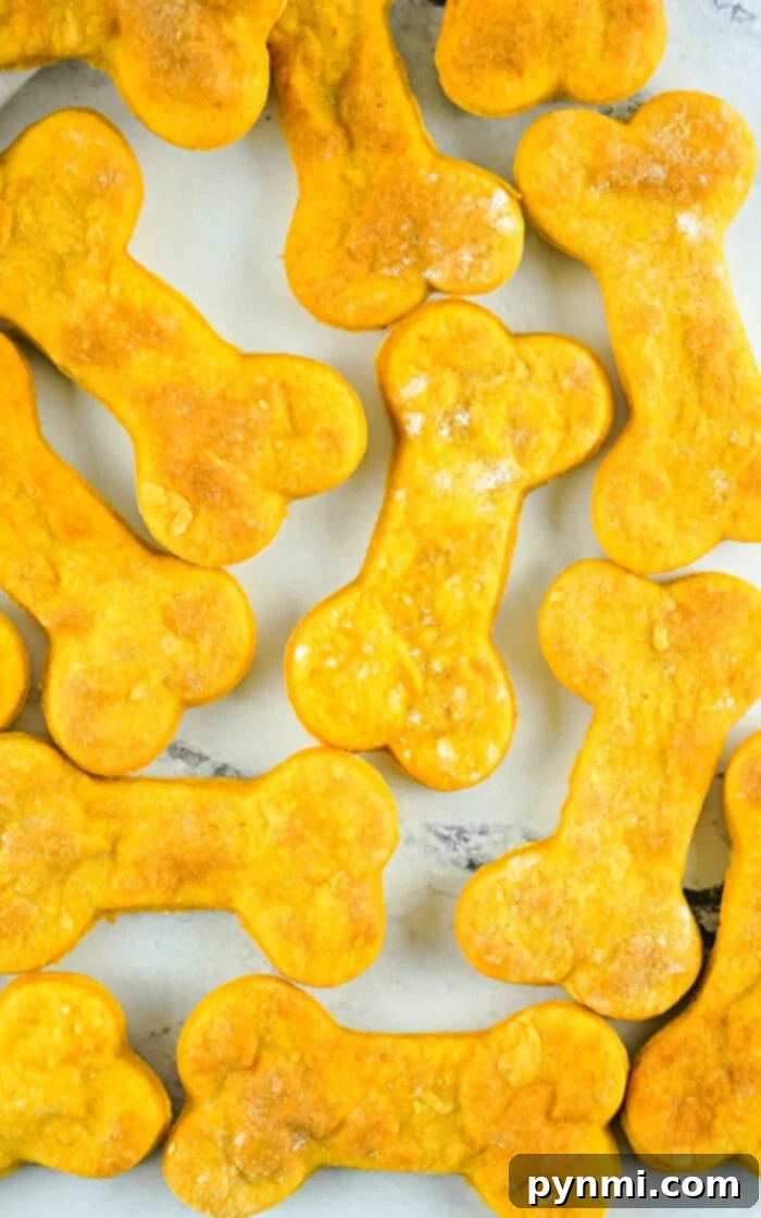 Air fryer dog treats, shaped like bones and delightfully orange, are neatly arranged on a white surface, showcasing their appealing homemade quality.