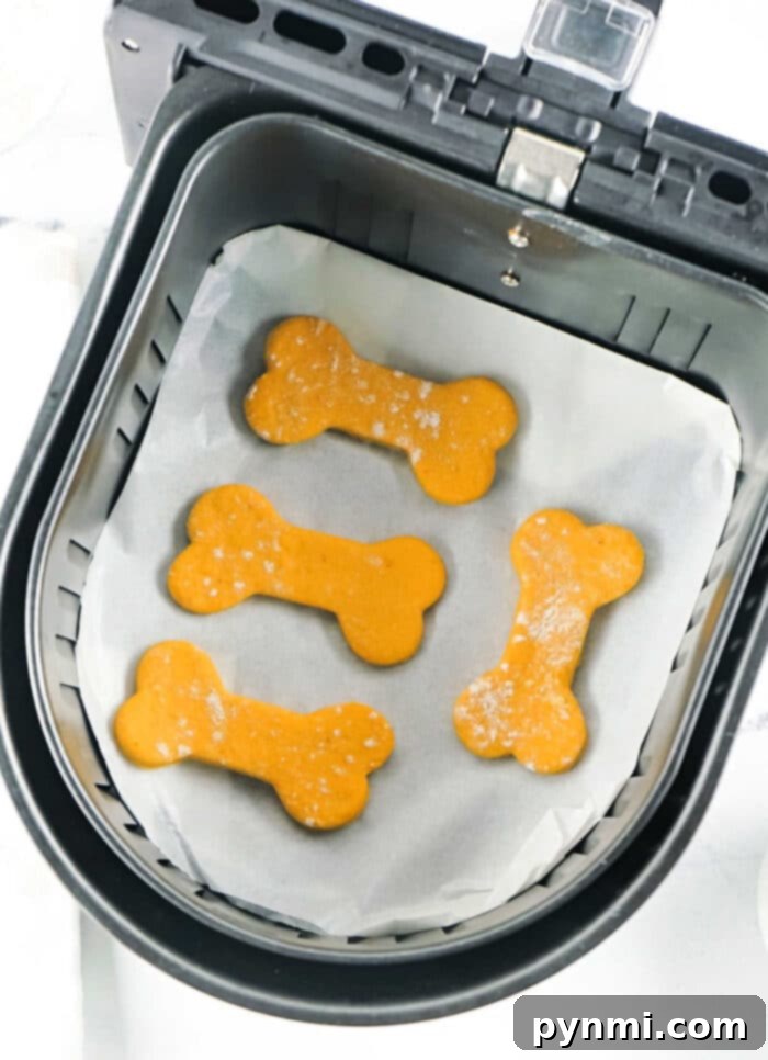 A batch of freshly made Air Fryer Dog Treats, shaped like bones, cooling on a rack, ready to be enjoyed by happy pups.