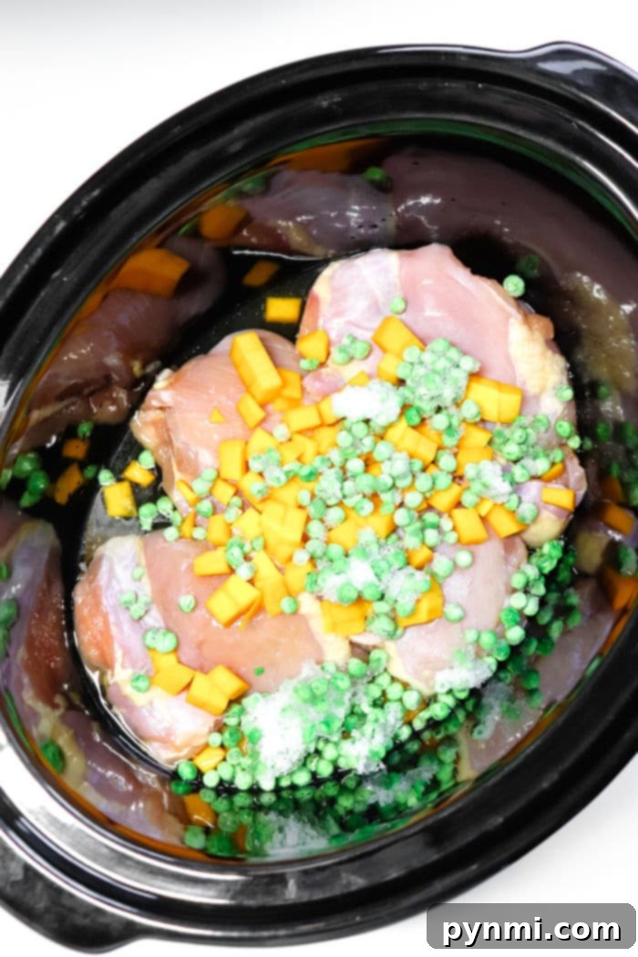 Wholesome Slow Cooker Chicken Meals for Your Dog 5 Close-up of Crockpot Dog Food recipe with chicken, peas, and carrots