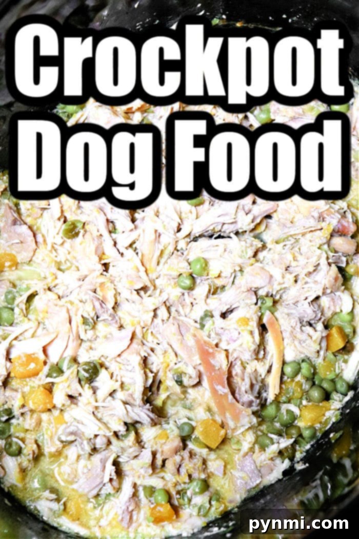 Wholesome Slow Cooker Chicken Meals for Your Dog 6 How to make homemade dog food with easy steps