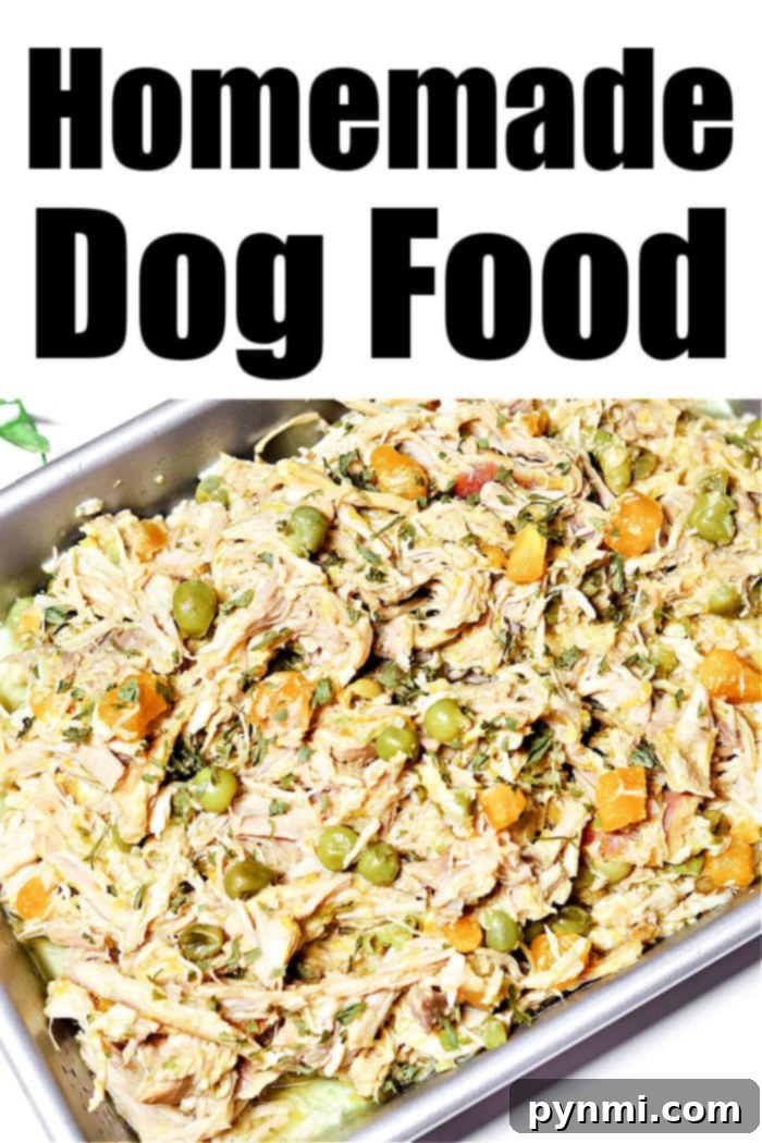 Wholesome Slow Cooker Chicken Meals for Your Dog 9 Delicious and healthy homemade dog food recipe in a bowl