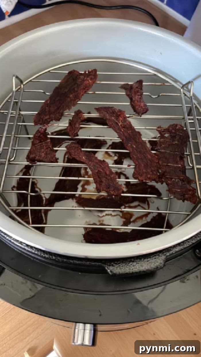 Wholesome Dehydrated Dog Bites 3 A round dehydrator with a metal rack inside holds several evenly spaced strips of dark brown dehydrated dog treats. The interior base of the dehydrator is marked with drips of liquid residue.