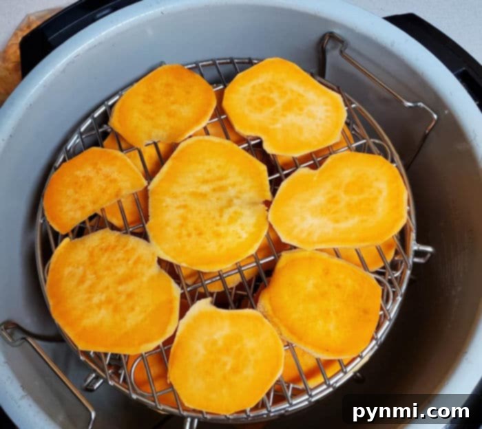 Wholesome Dehydrated Dog Bites 5 Thinly sliced sweet potatoes ready for dehydration