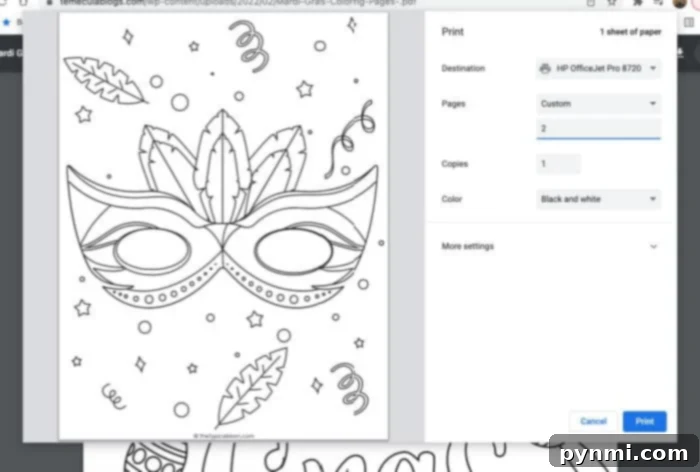 Mardi Gras Carnival Coloring Fun 5 Screenshot of printing options for free printables for mardi gras, showing how to select custom pages.