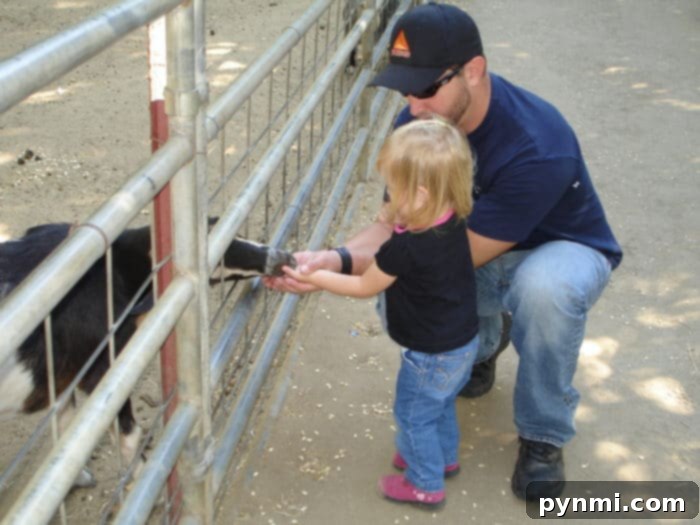 Your Ultimate Southern California Family Fun Guide 7 Families enjoying the rustic charm of Bates Nut Farm, a beloved Southern California destination