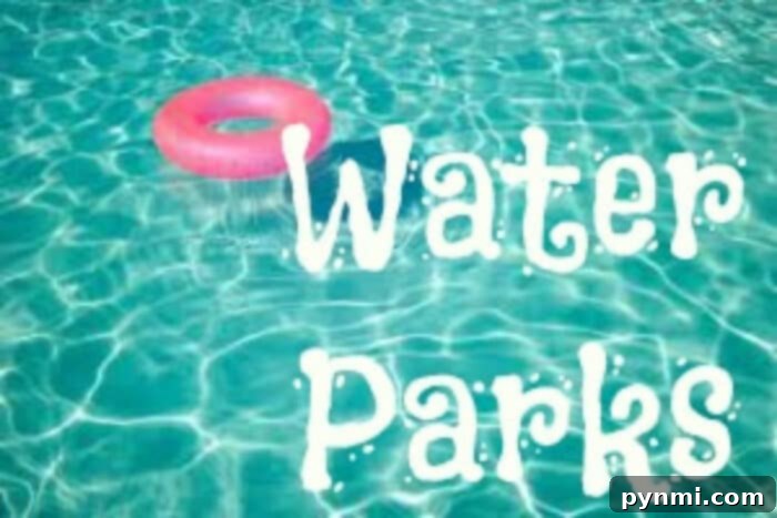 SoCal's Aquatic Playgrounds 3 Water Parks in Orange County California