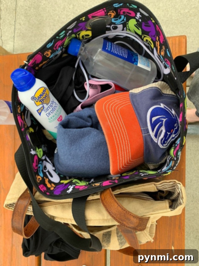 SoCal's Aquatic Playgrounds 7 What to Bring to a Water Park Checklist