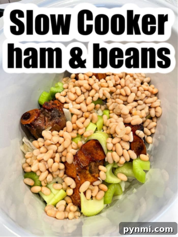 Unlocking the Flavor of Ham Hocks 4 A vibrant close-up of slow cooker ham hocks simmering with a colorful medley of beans, sliced celery, and aromatic seasonings, promising a deeply flavorful meal.