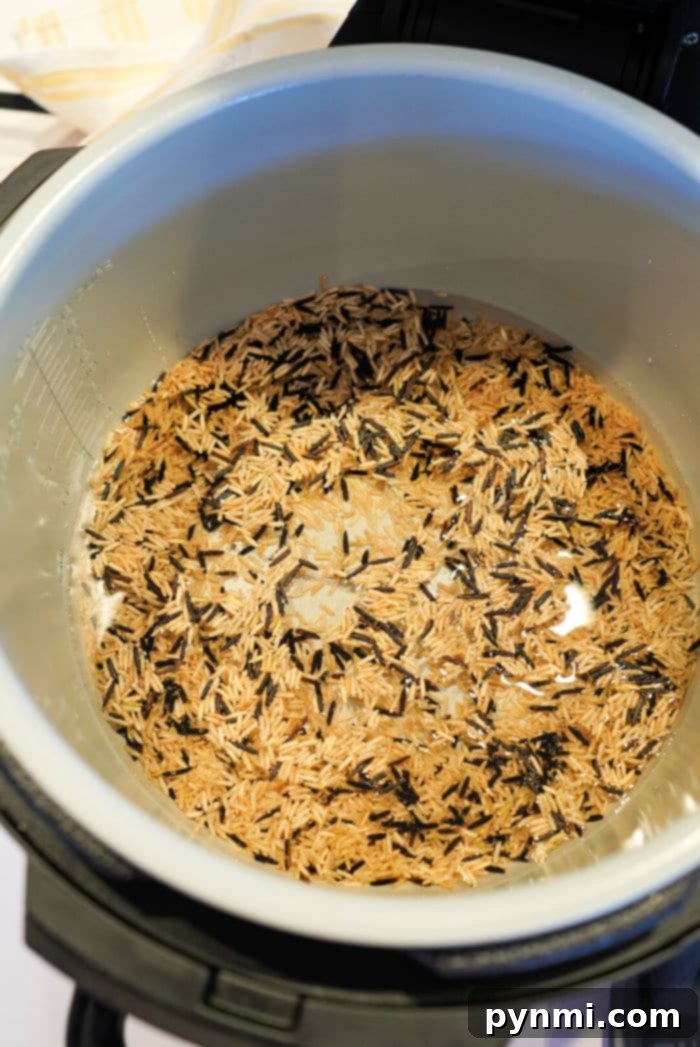 Perfect Ninja Foodi Wild Rice 6 Fluffy wild rice served in a bowl, cooked in Ninja Foodi
