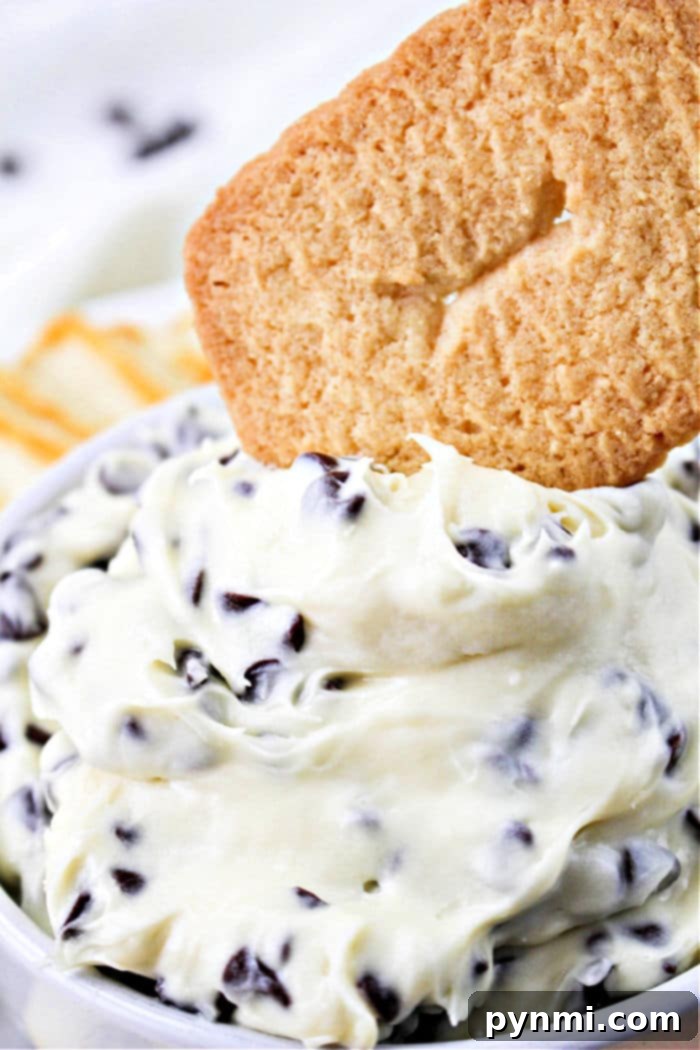 Philadelphia Cream Cheese Dream Dip 2 A bowl of creamy cheese dessert dip with chocolate chips, served with cookies on the side, perfect for any gathering.