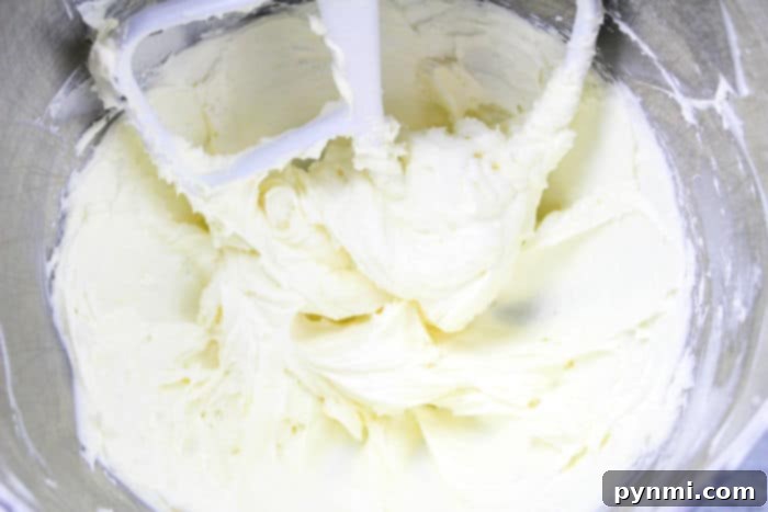 Philadelphia Cream Cheese Dream Dip 4 A spoon scooping a generous portion of creamy chocolate chip dessert dip from a bowl.