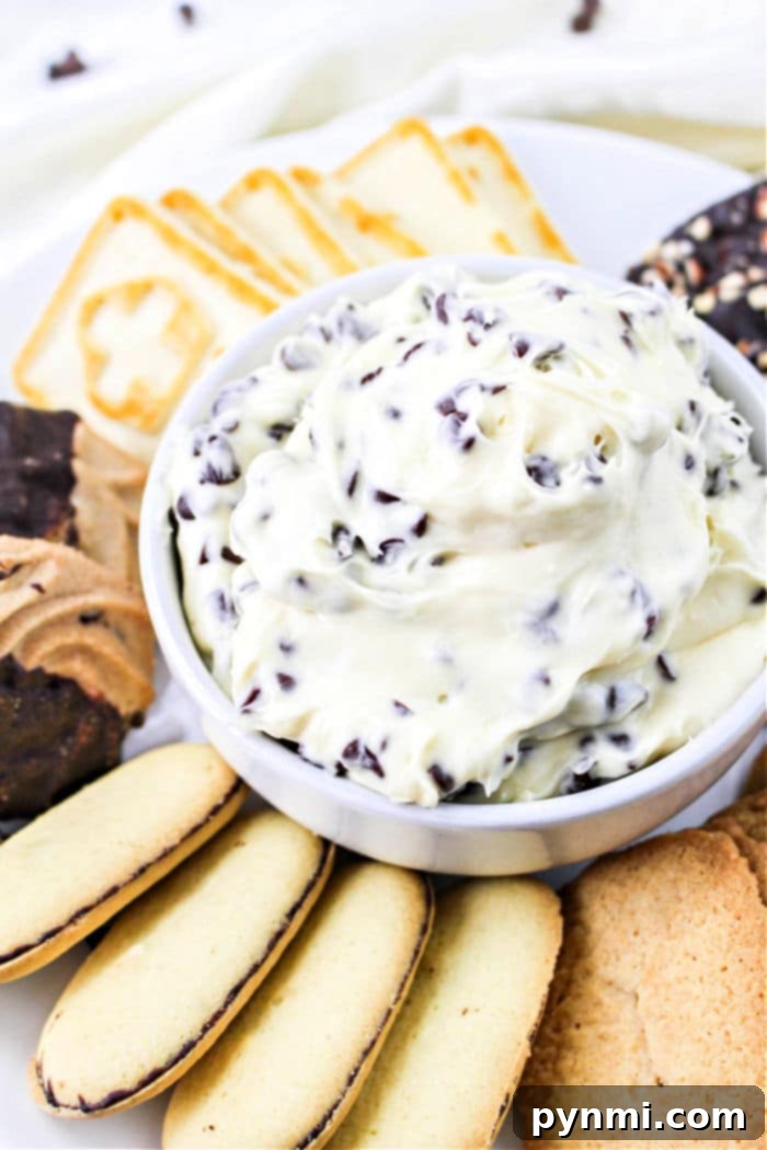Philadelphia Cream Cheese Dream Dip 6 A large bowl of homemade chocolate chip dip, glistening with creamy texture and ready to be served.
