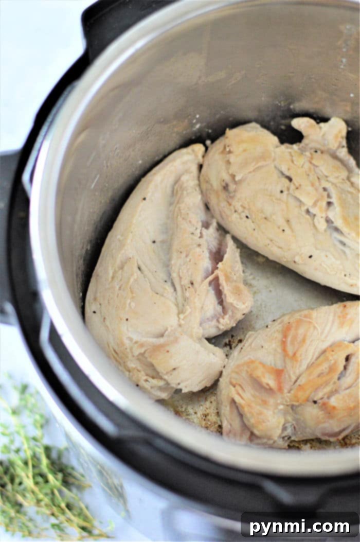 chicken breast in instant pot