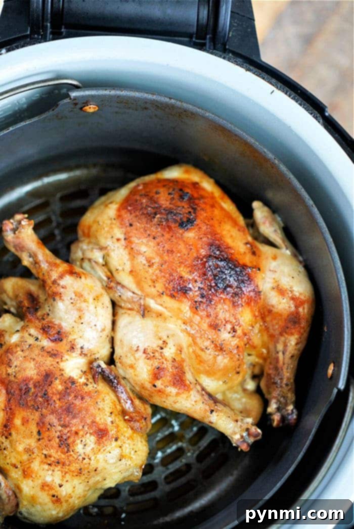 Two golden, crispy-skinned baby chickens nestled in a Ninja Foodi air fryer basket.