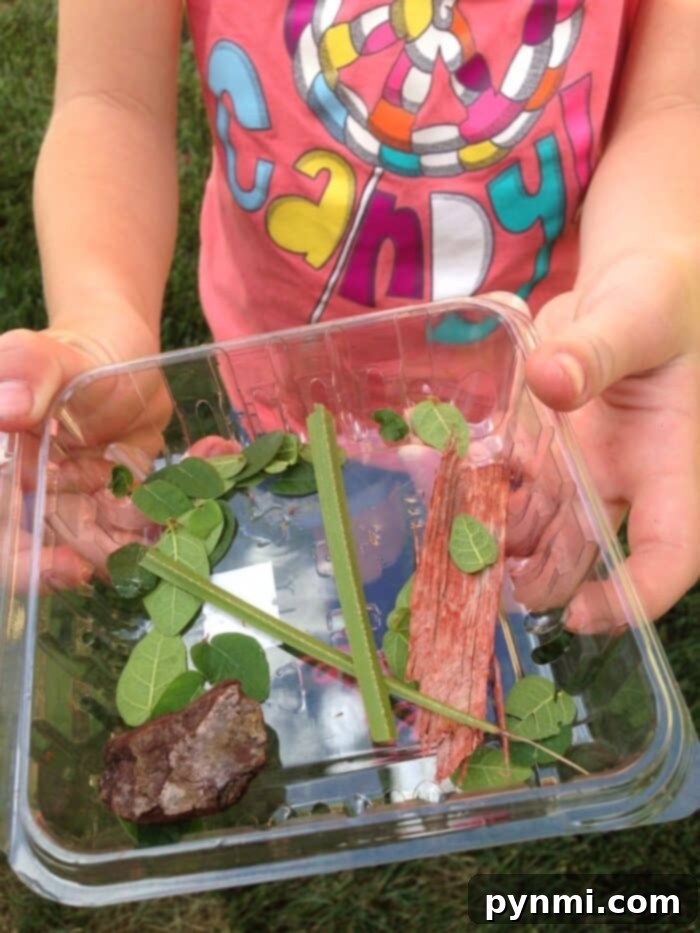 Creative Hiking Ideas for Kids' Entertainment How do I make hiking fun for kids
