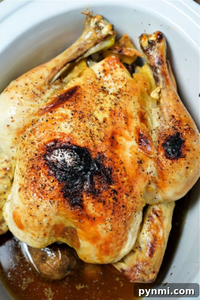 Frozen whole chicken in slow cooker, ready to cook for an easy dinner.